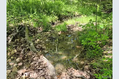0 Highway Nn (Tract 2 - 9.08+/- Acres), Bowling Green, MO 63334 - Photo 15