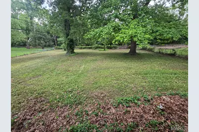 10822 Hallwood Drive, Saint Louis, MO 63136 - Photo 3