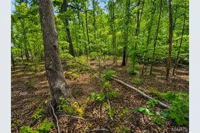 955 County Rd 900, Bunker, MO 63629 - Photo 41