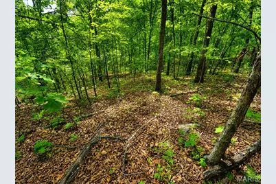 955 County Rd 900, Bunker, MO 63629 - Photo 47