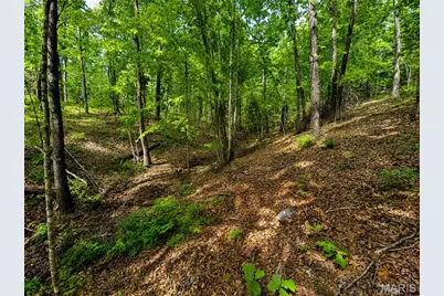 955 County Rd 900, Bunker, MO 63629 - Photo 43