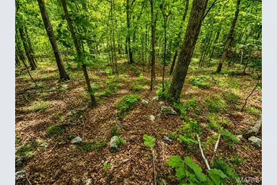955 County Rd 900, Bunker, MO 63629 - Photo 51