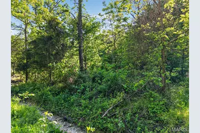 955 County Rd 900, Bunker, MO 63629 - Photo 59