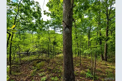 955 County Rd 900, Bunker, MO 63629 - Photo 49