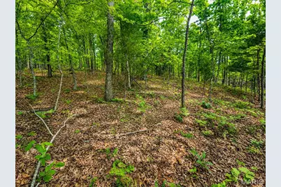 955 County Rd 900, Bunker, MO 63629 - Photo 45