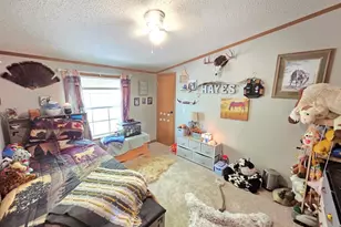 34045 Lake Shore Dr, Stanton, MO 63435 - Photo 39