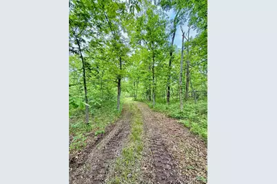 Tbd SE 800 Rd. T25, Collins, MO 64738 - Photo 19