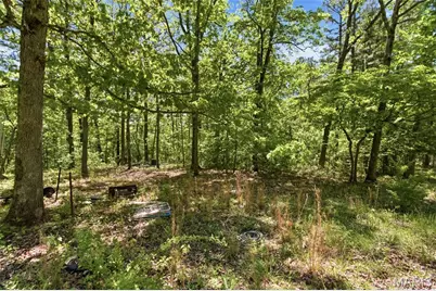 15601 Boiling Springs Rd, Licking, MO 65542 - Photo 11