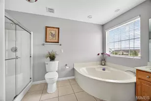 1214 Sunny Ridge Dr, O'Fallon, MO 63366 - Photo 31