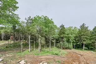 22595 Hwy O, Wright City, MO 63390 - Photo 1