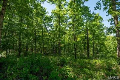 [Address not provided], Van Buren, MO 63965 - Photo 45
