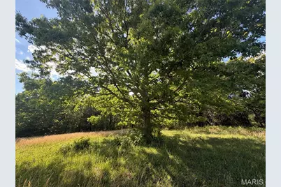 Tract 5 County Rd 4215, Salem, MO 65560 - Photo 3