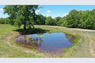 Tract 5 County Rd 4215, Salem, MO 65560 - Photo 1