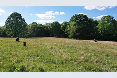 Tract 5 County Rd 4215, Salem, MO 65560 - Photo 13