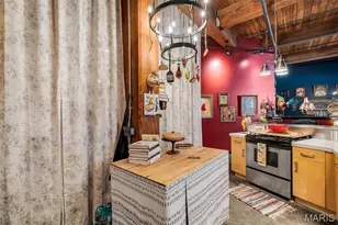 703 N 13th St, Saint Louis, MO 63103 - Photo 19