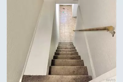 838 Wachtel Avenue, Saint Louis, MO 63125 - Photo 25
