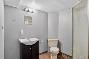 1225 Lakeview Ave, Saint Louis, MO 63138 - Photo 15