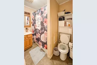 604 Hoffman Street, Leadwood, MO 63653 - Photo 27