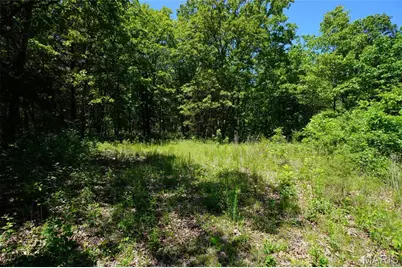 0 Blocks Branch Road, Robertsville, MO 65066 - Photo 1