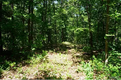 0 Blocks Branch Road, Robertsville, MO 65066 - Photo 13