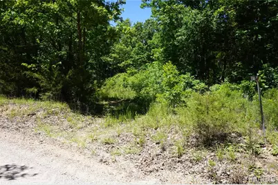 0 Blocks Branch Road, Robertsville, MO 65066 - Photo 3