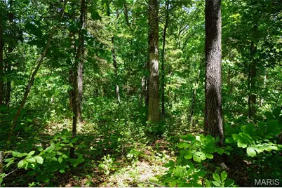 0 Blocks Branch Road, Robertsville, MO 65066 - Photo 9