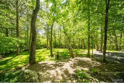 10 Ravinia Lane, Pacific, MO 63069 - Photo 33
