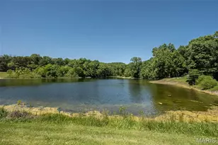 10 Ravinia Ln, Pacific, MO 63069 - Photo 43