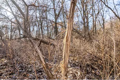 00 Hwy Hh, Bowling Green, MO 63334 - Photo 5