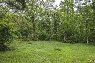 110 Goshen Rd, Leslie, MO 63056 - Photo 11