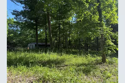 0 Rustic Acres Drive, Bonne Terre, MO 63628 - Photo 1