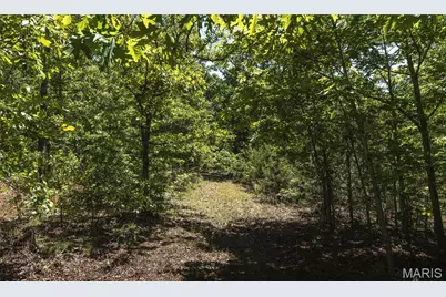 748 County Road 2160, Edgar Springs, MO 65462 - Photo 35