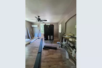 230 Low Street, Bonne Terre, MO 63628 - Photo 11