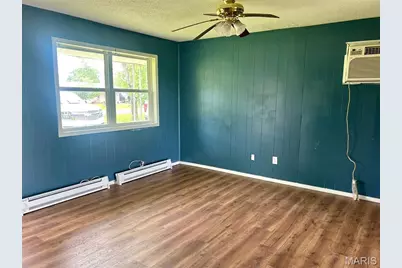 39335 W Sue Drive, Malden, MO 63863 - Photo 3