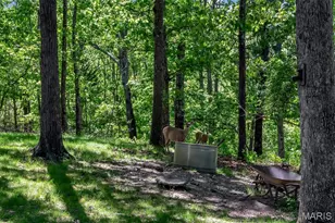 2838 Wild Ridge Dr, High Ridge, MO 63049 - Photo 41