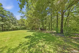 3939 Burgio Ln, Hillsboro, MO 63050 - Photo 51