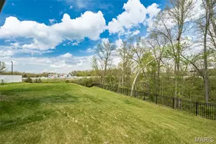 342 Cumberland Ct, Truesdale, MO 63380 - Photo 41