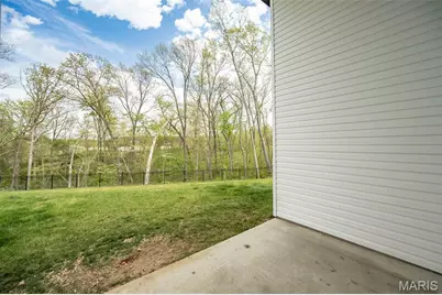342 Cumberland Court, Truesdale, MO 63380 - Photo 35