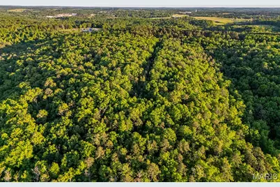16051 Forrest Drive, Houston, MO 65483 - Photo 83