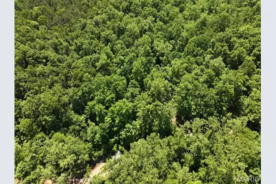 Tract 3 Bcr 930, Patton, MO 63662 - Photo 9