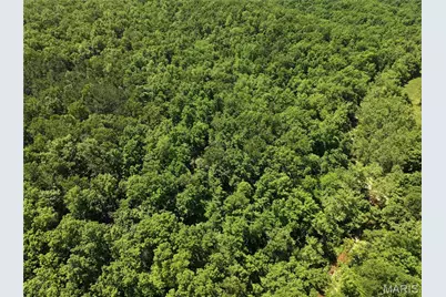 Tract 3 Bcr 930, Patton, MO 63662 - Photo 7