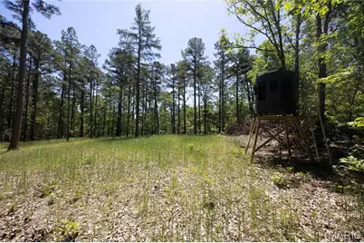 Tract 3 Bcr 930, Patton, MO 63662 - Photo 13