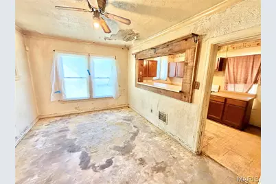 4323 Bingham Avenue, Saint Louis, MO 63116 - Photo 5