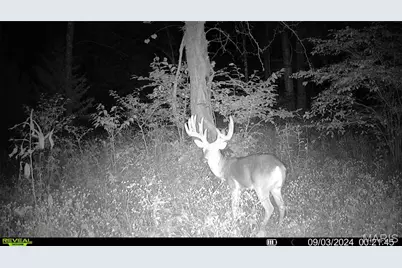 Tbd 00 County Road 274 #112.5, Chamois, MO 65024 - Photo 21