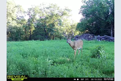 Tbd 00 County Road 274 #112.5, Chamois, MO 65024 - Photo 13