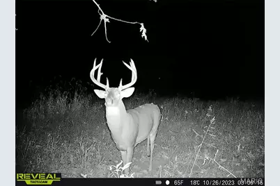 Tbd 00 County Road 274 #112.5, Chamois, MO 65024 - Photo 17