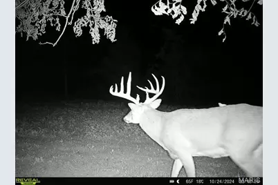 Tbd 00 County Road 274 #112.5, Chamois, MO 65024 - Photo 11