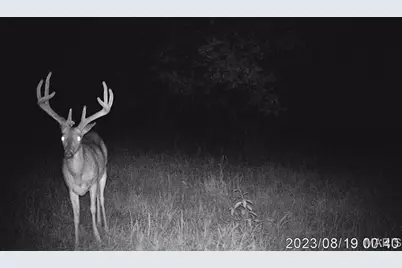 Tbd 00 County Road 274 #112.5, Chamois, MO 65024 - Photo 23