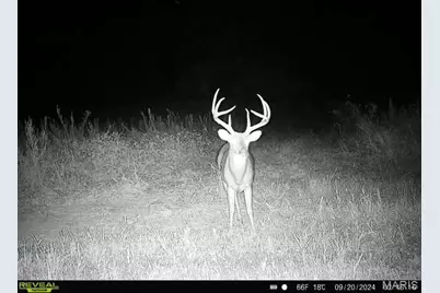 Tbd 00 County Road 274 #112.5, Chamois, MO 65024 - Photo 19