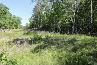 1 Gobbler Cove, Lowndes, MO 63951 - Photo 7